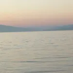 Island Lejlighed
