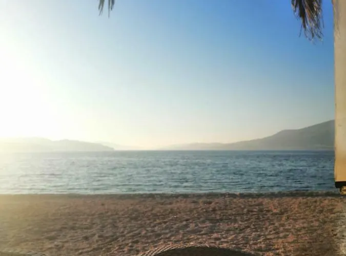 Island *