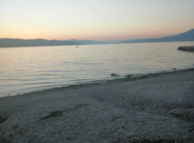 Island * 特罗吉尔